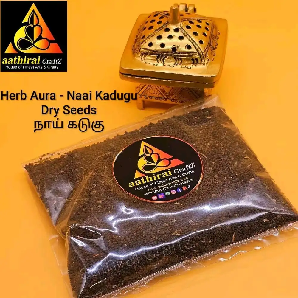 Herb Aura Naai Kadugu Seeds / Traduzione automatica - 100G - image 2