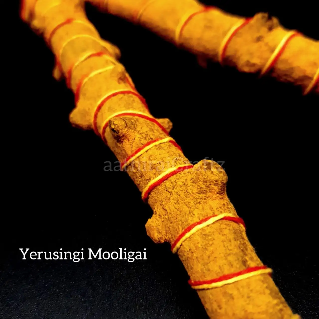 Yerusingi Mooligai Size M - image 2