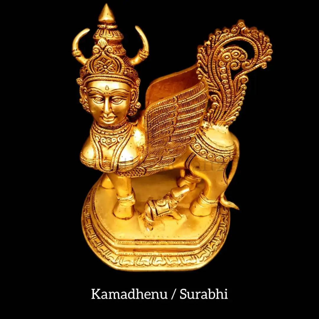 Kamadhenu / Surabhi ( B ) - image 2