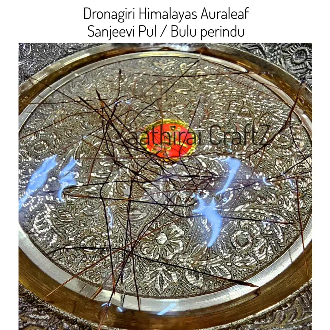 Dronagiri Sanjeevi Pul - image 2