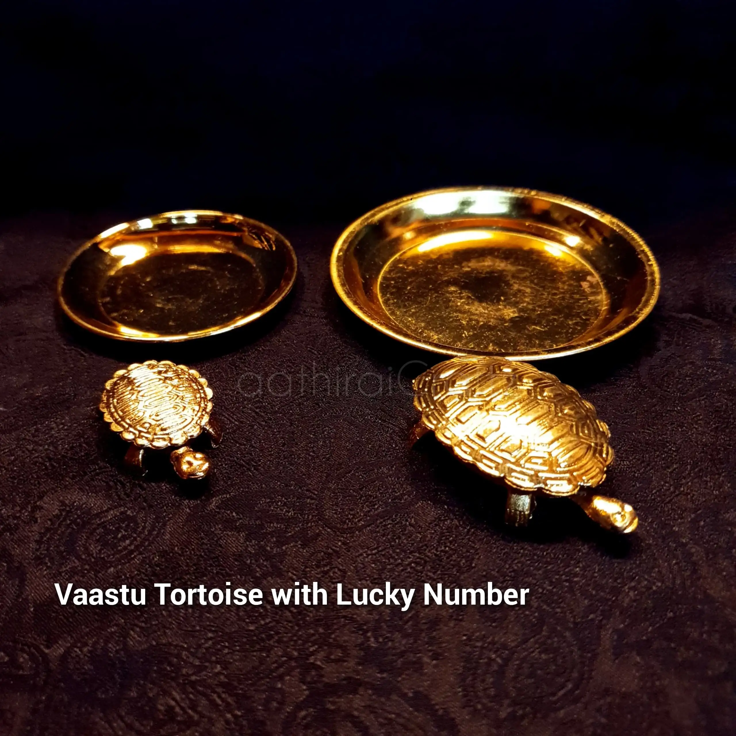 Vaastu Tortoise with Tray and Lucky Number - image 1