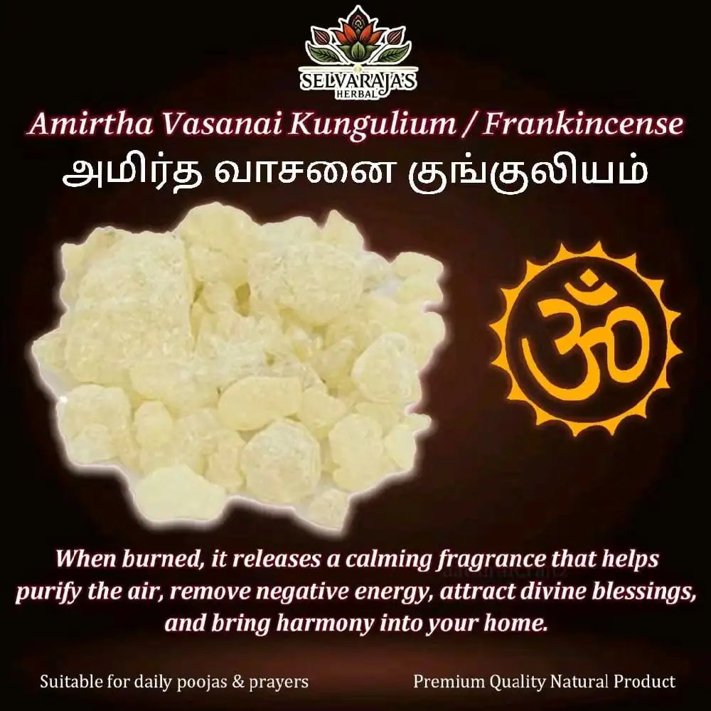 Amirtha Vasanai Kungulium/ Frankincense – 100G - image 1