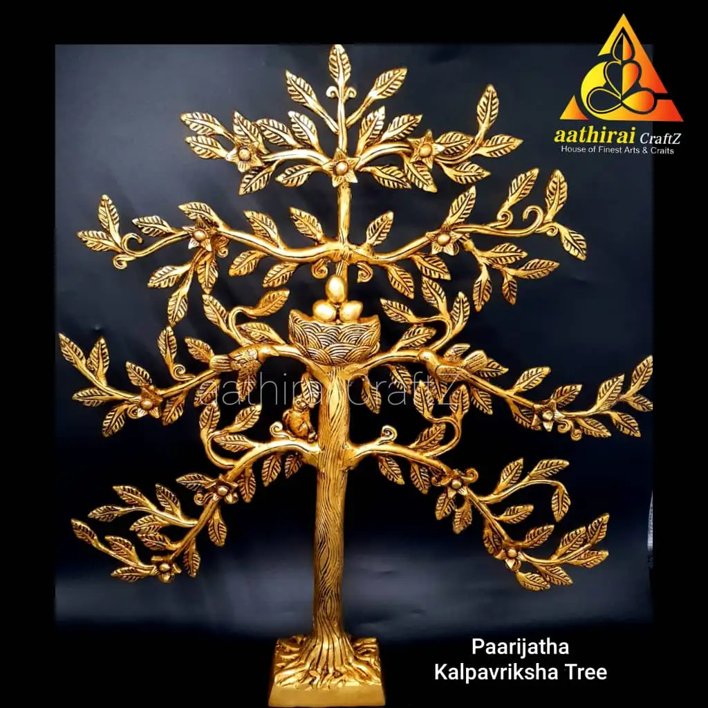 Paarijatha Kalpavriksha Tree 20 inches Karpaga Maram / - image 1