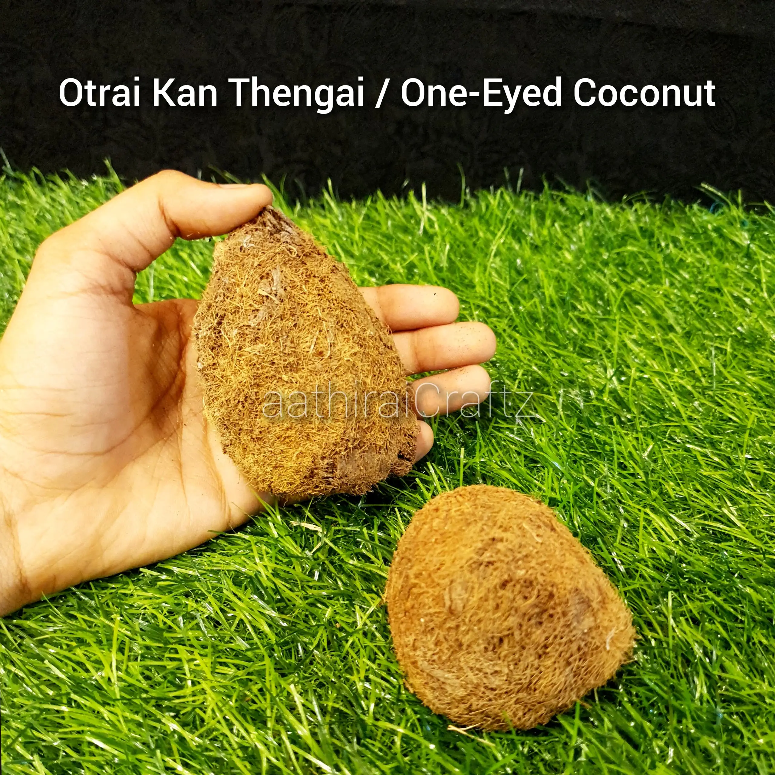 Ekakshi Nariyal / One Eyed Coconut - image 1